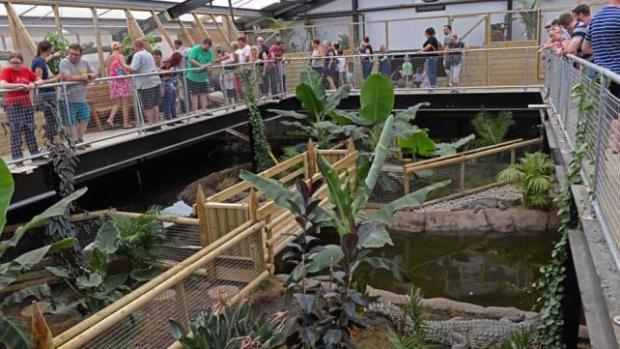 More Than £65,000 Raised for the Boy Thrown Into a Crocodile Pit—The Story Behind It Is Heartbreaking...